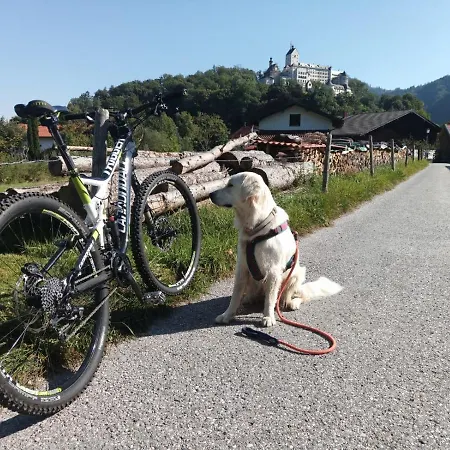 Ciao-aschau Haus Zur Burg Apn220 Mina